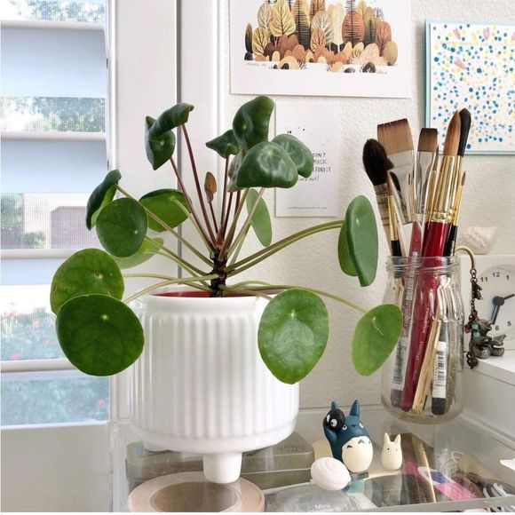 White Ribbed Small Planter Pot with Drainage Hole and Round Feet - Picture 2 of 6